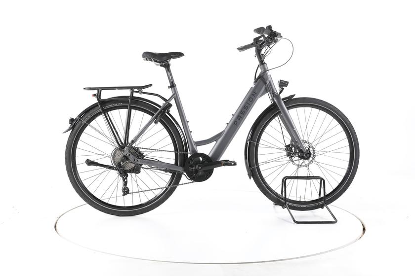 Wittich Passion E-SLi Trekking E-Bike Tiefeinsteiger - 180-195cm