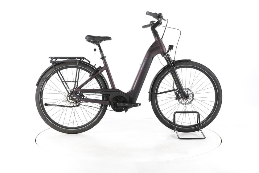 Pegasus Premio EVO 5F Lite Belt City E-Bike Tiefeinsteiger 2024 - 160-170cm