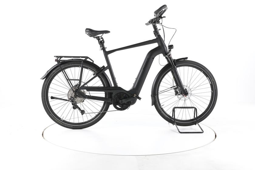 Pegasus Premio EVO 10 Lite Comfort Trekking E-bike