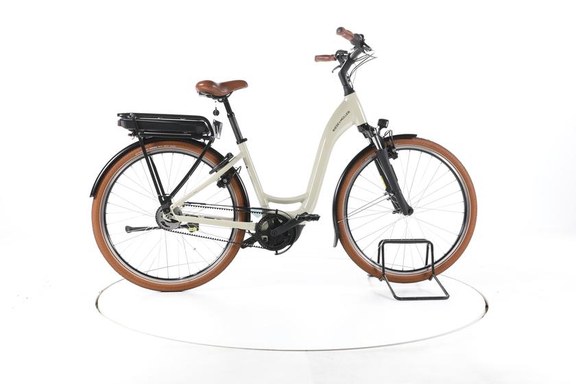 Riese & Müller Swing silent City E-Bike Tiefeinsteiger 2025 - 165-175cm