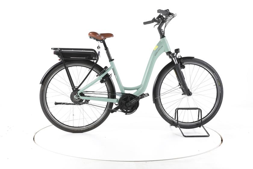 Riese & Müller Swing vario City E-Bike Tiefeinsteiger - 165-175cm
