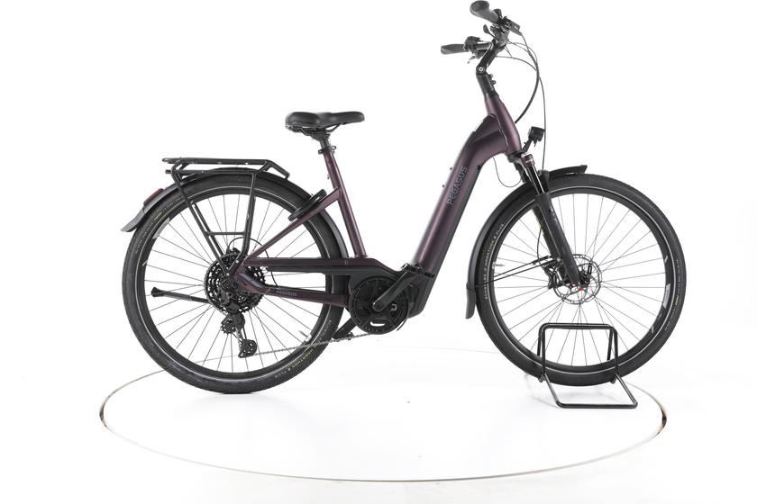 Pegasus Premio Evo 11 Trekking E-bike Lage instap