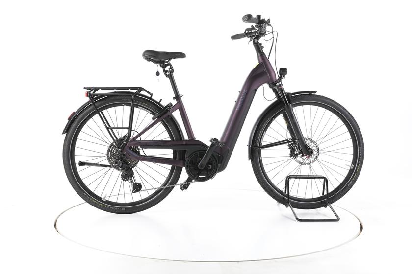 Pegasus Premio EVO 11 Lite Trekking E-Bike Tiefeinsteiger - 150-160cm