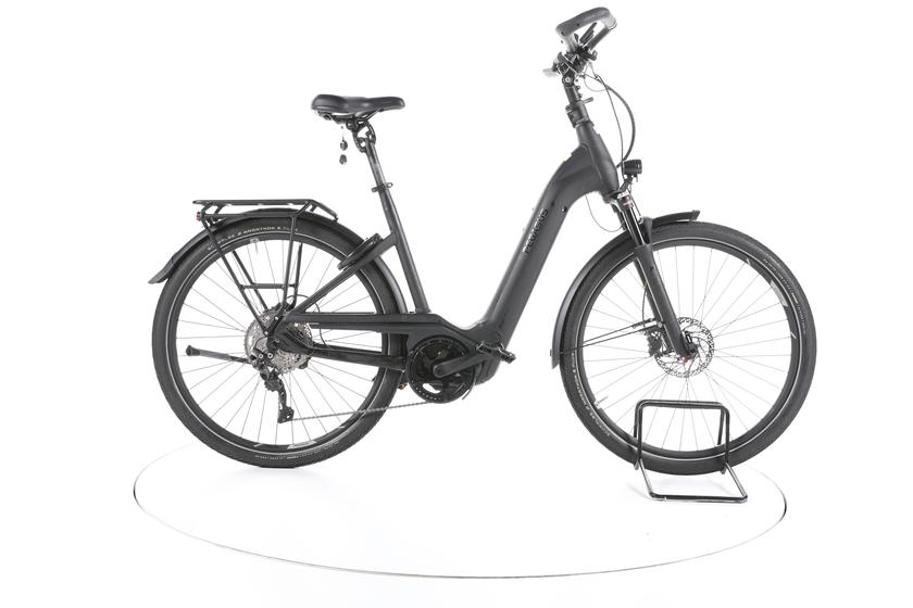 Pegasus Premio Evo 10 Lite Comfort Trekking E-Bike Tiefeinsteiger - 170-180cm